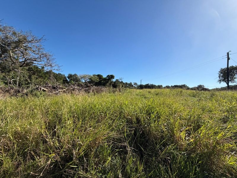 A view of a vacant residential plot featuring natural grass coverage and mature trees along the perimeter.