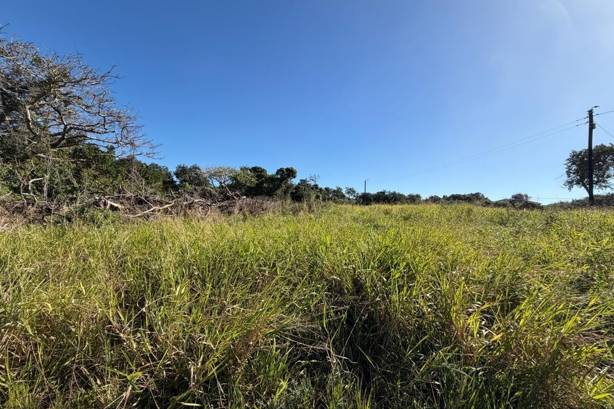 A view of a vacant residential plot featuring natural grass coverage and mature trees along the perimeter.