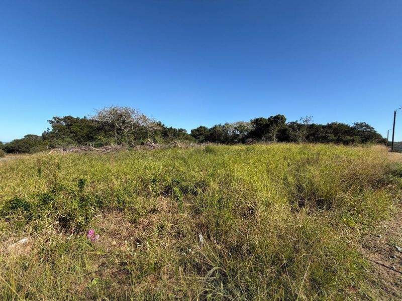 A view of an undeveloped residential plot featuring natural grass and surrounding mature trees under a clear blue sky.