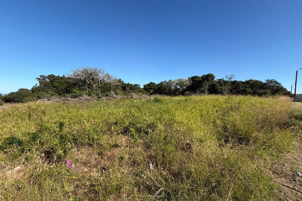 A view of an undeveloped residential plot featuring natural grass and surrounding mature trees under a clear blue sky.