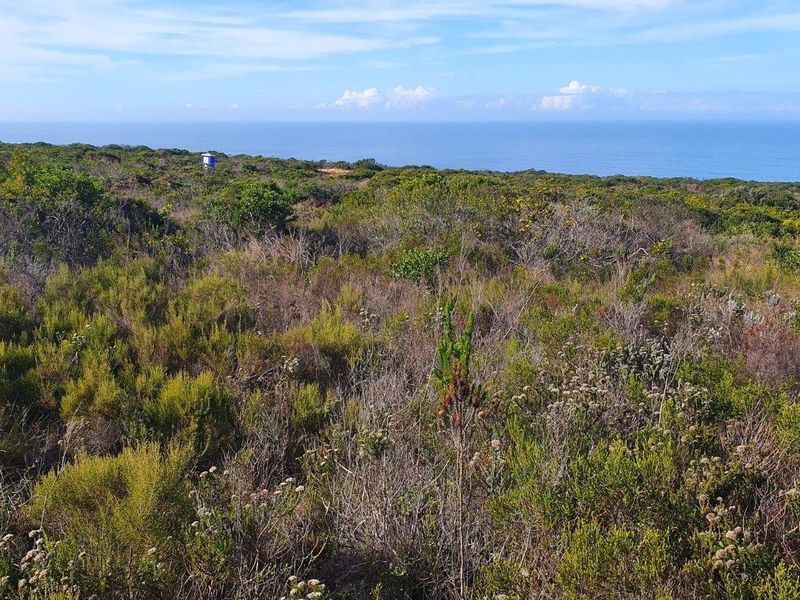 A scenic view of the coastal landscape featuring native vegetation and an expansive ocean horizon.
