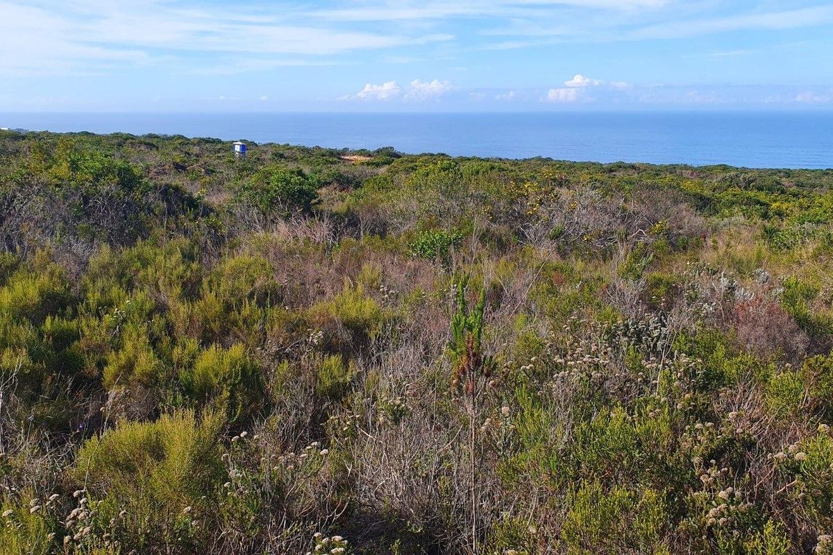 A scenic view of the coastal landscape featuring native vegetation and an expansive ocean horizon.