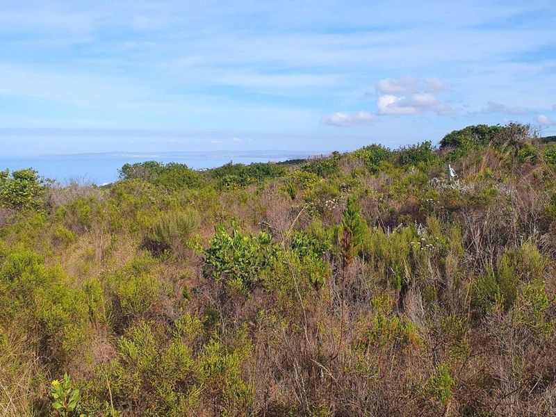 A scenic view of the vacant residential land featuring natural coastal vegetation and distant ocean vistas.