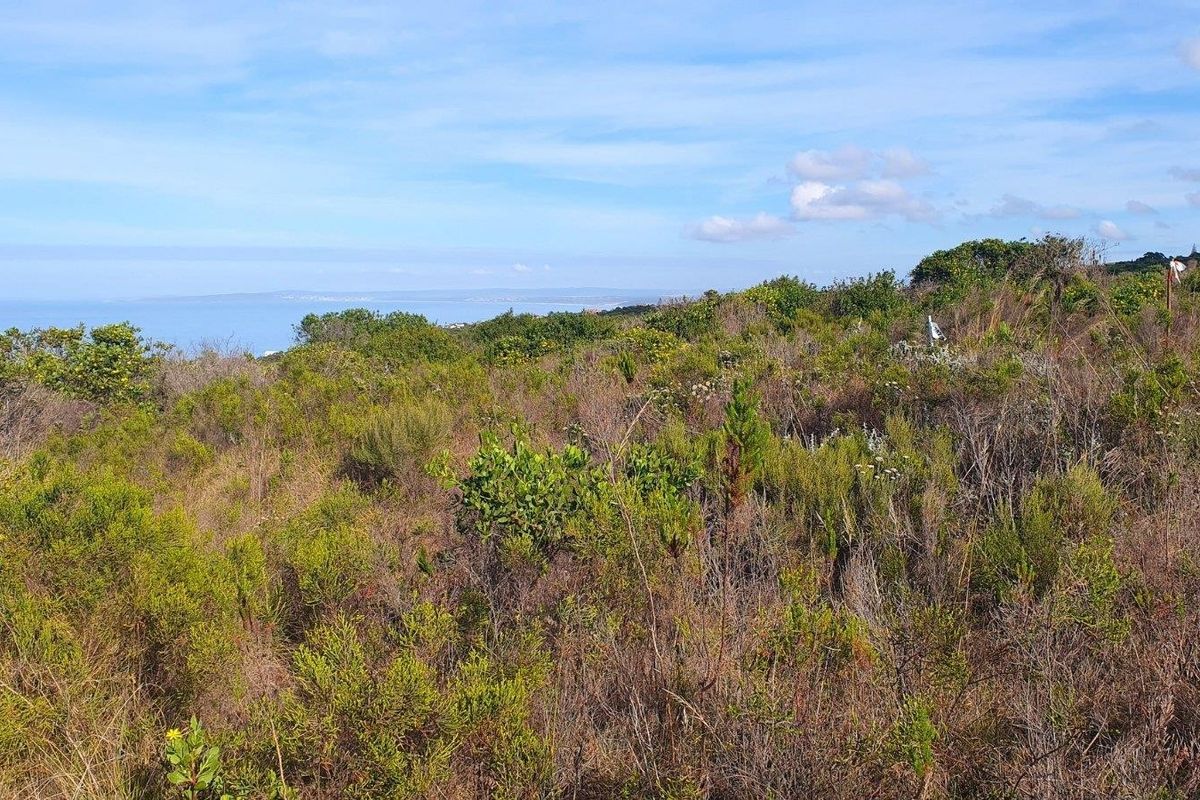 A scenic view of the vacant residential land featuring natural coastal vegetation and distant ocean vistas.