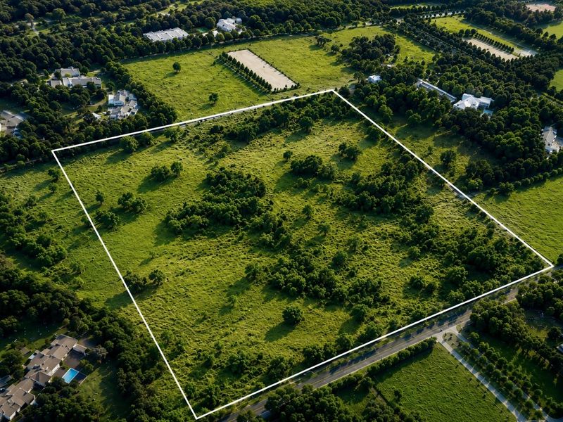 An aerial view of a large, undeveloped residential plot featuring mature trees and open grassland, clearly outlined for property identification.