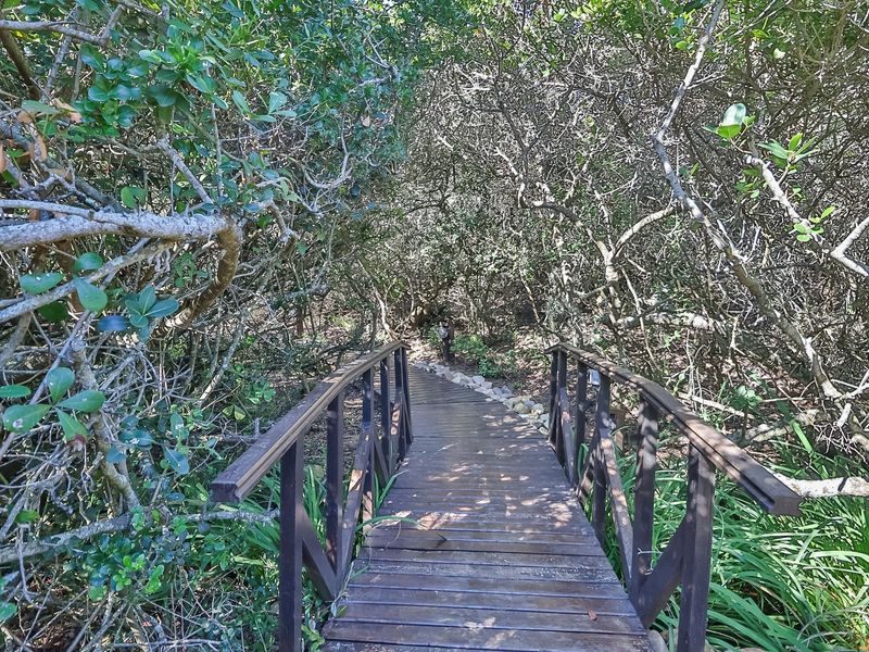 A wooden footbridge pathway winding through a dense, mature garden area with established trees and natural vegetation.