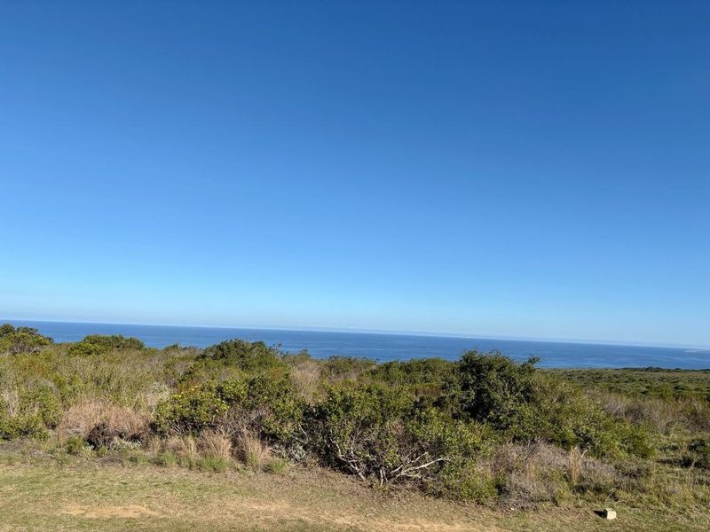 A scenic view of the ocean and natural coastal vegetation from the vacant residential land.