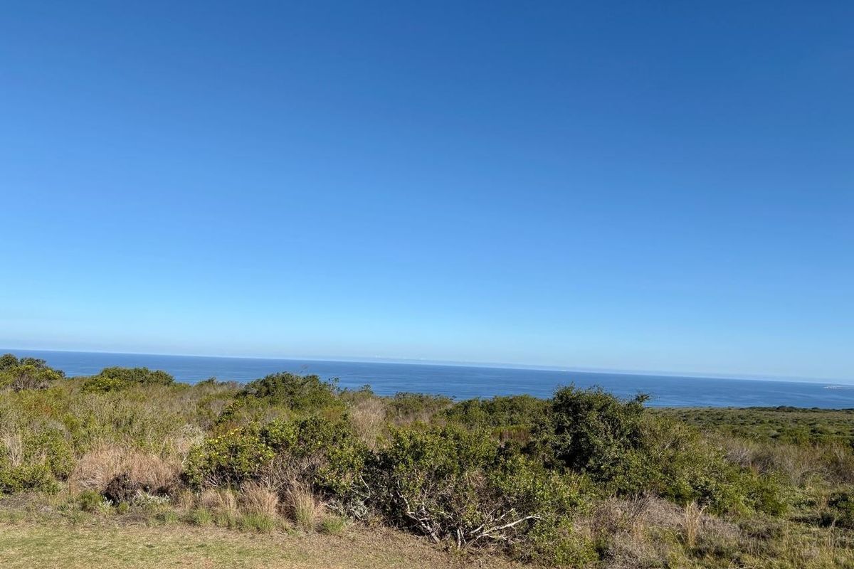 A scenic view of the ocean and natural coastal vegetation from the vacant residential land.