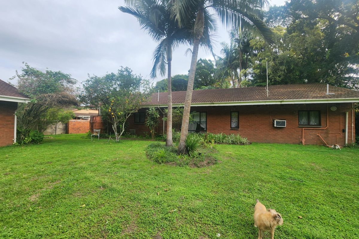 Rear view of the brick house featuring a spacious garden, mature palm trees, and a rainwater tank.
