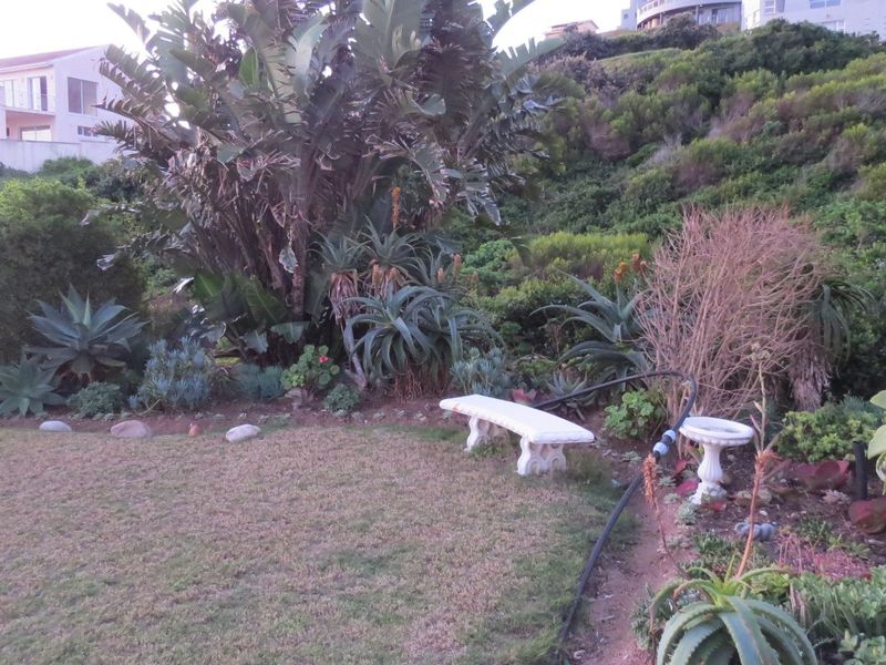 A sloped garden area featuring established plants, shrubs, and a lawn, set against a hillside with neighbouring residential properties in the background.