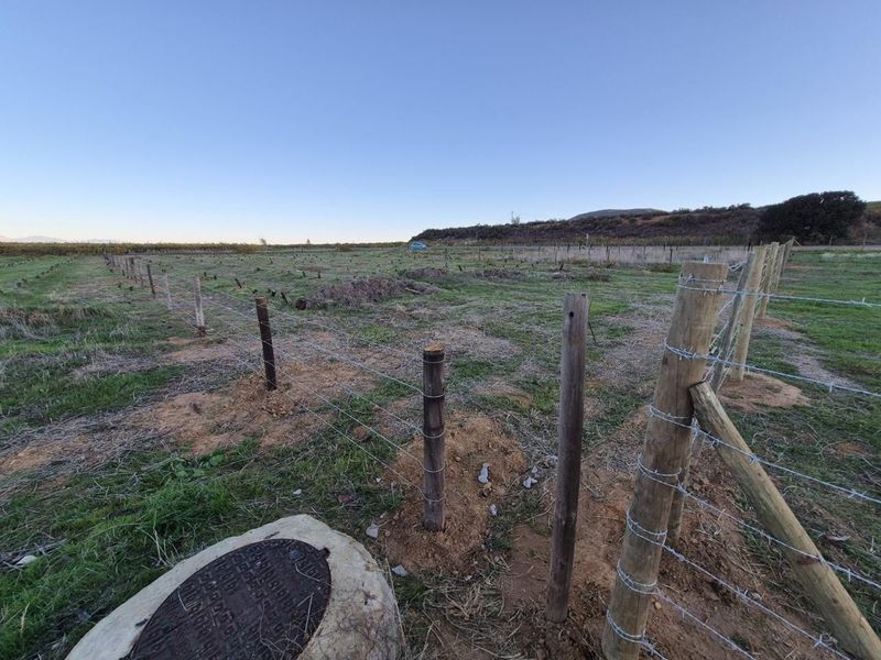 STUNNING STAND IN ICONIC RIEBEECK KASTEEL WITH SURROUNDING MOUNTAINOUS VIEWS AND UNLIMITED FRESH AIR - Photo 7