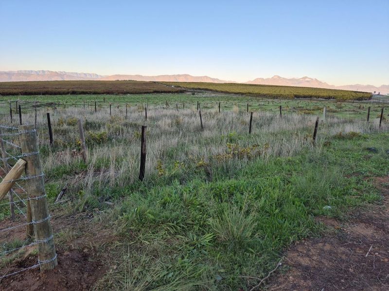 STUNNING STAND IN ICONIC RIEBEECK KASTEEL WITH SURROUNDING MOUNTAINOUS VIEWS AND UNLIMITED FRESH AIR - Photo 9