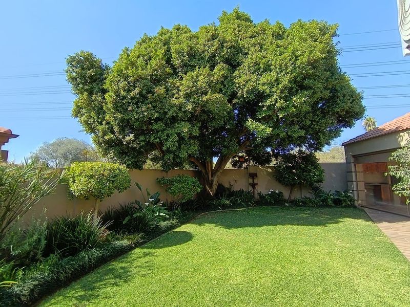 A well-maintained private garden featuring a large mature tree, manicured lawn, and perimeter boundary wall with established landscaping.