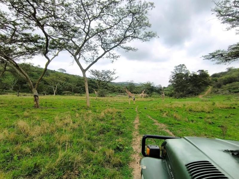Farm For Sale in Umlaas Road Camperdown, KwaZulu Natal - Photo 5