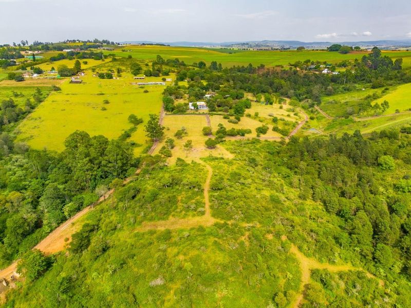 Farm For Sale in Umlaas Road Camperdown, KwaZulu Natal - Photo 9