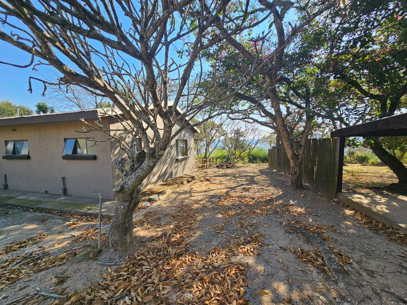 Rear exterior view of the property featuring a gravel yard, mature trees, and a timber boundary fence.