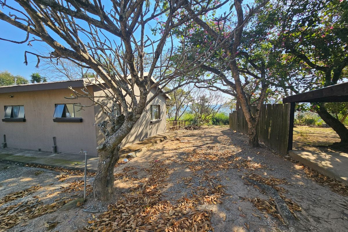 Rear exterior view of the property featuring a gravel yard, mature trees, and a timber boundary fence.
