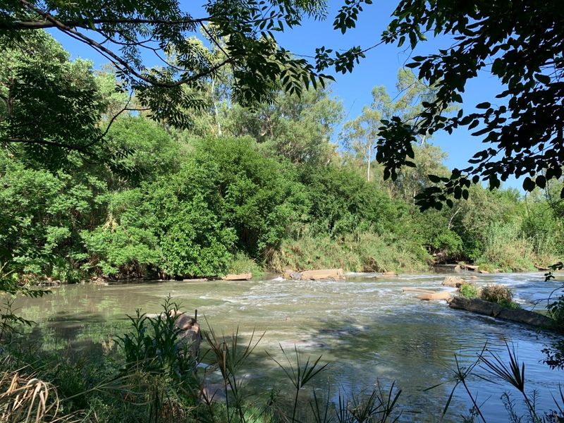 A scenic view of a natural river flowing through lush, mature riparian vegetation on the farm property.