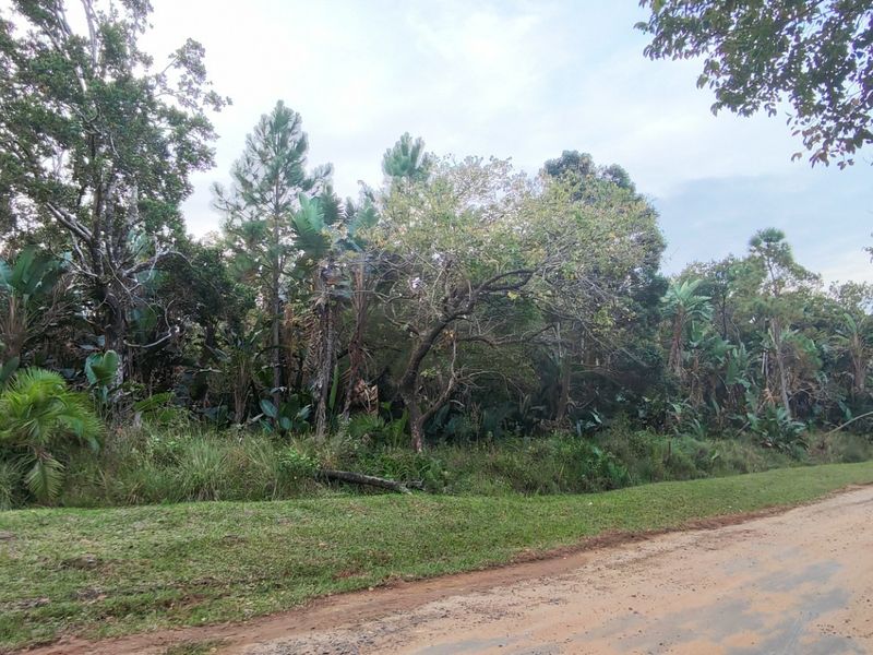 Coastal Land For Sale in Palm Beach, Port Edward, KwaZulu Natal - Photo 1