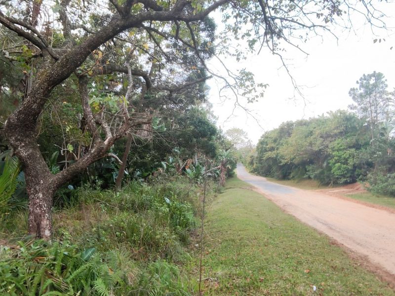 Coastal Land For Sale in Palm Beach, Port Edward, KwaZulu Natal - Photo 3
