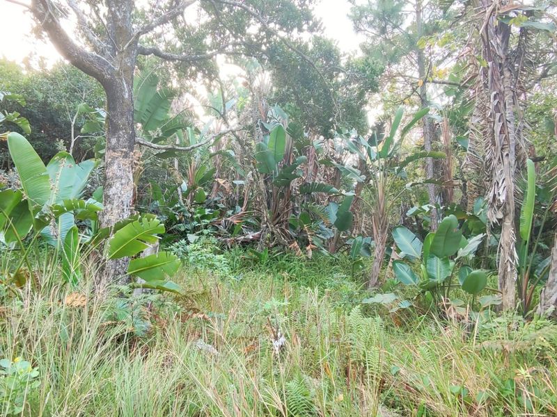 Coastal Land For Sale in Palm Beach, Port Edward, KwaZulu Natal - Photo 2