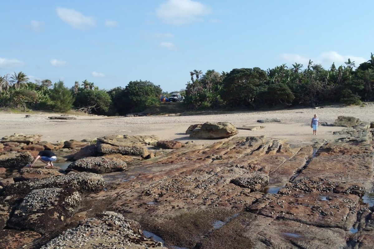A scenic view of a natural rocky shoreline and sandy beach area, showcasing the coastal landscape of the vacant land property.