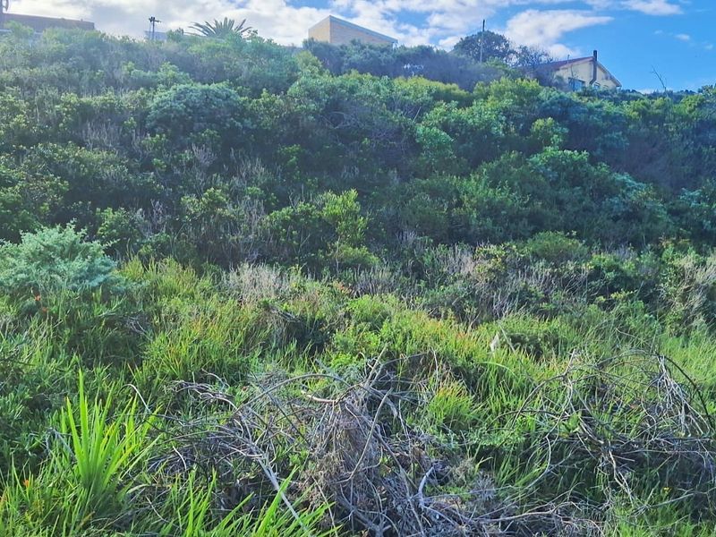 720 m2 Vacant Stand for Sale in Paradise Beach | Walk to the Beach - Photo 1