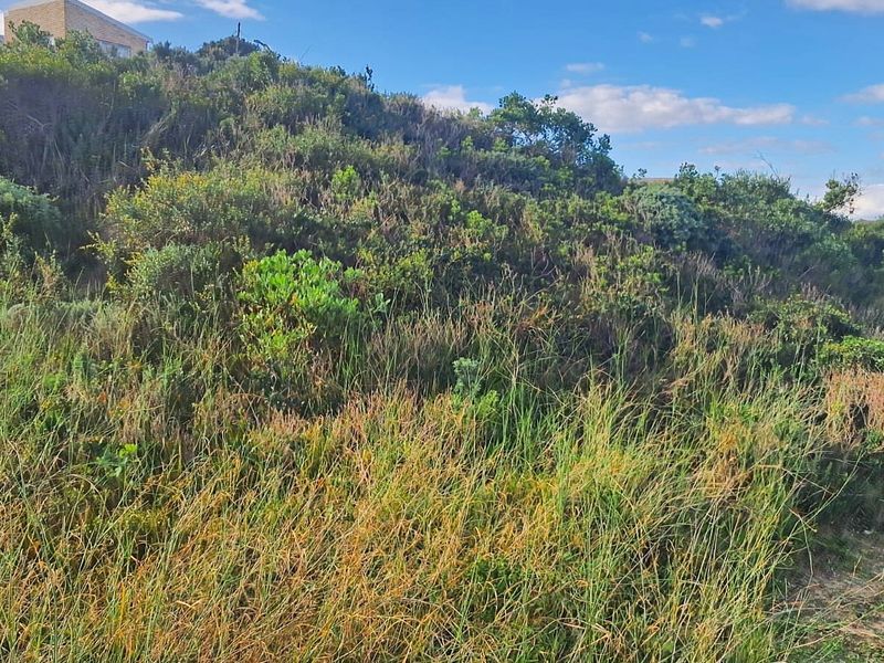 720 m2 Vacant Stand for Sale in Paradise Beach | Walk to the Beach - Photo 4