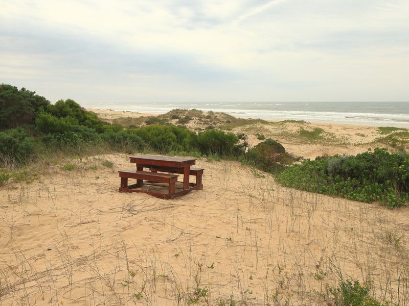 A scenic view of the coastal landscape featuring natural sand dunes and native vegetation overlooking the ocean.