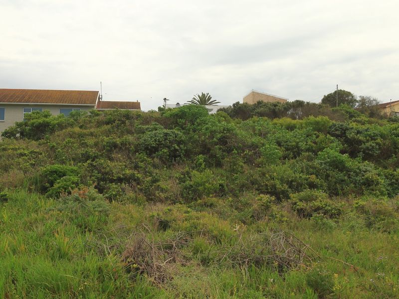 A view of a vacant residential plot featuring sloped terrain covered in native vegetation with neighboring houses visible in the background.