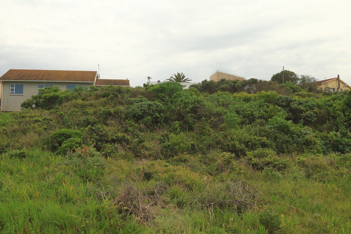 A view of a vacant residential plot featuring sloped terrain covered in native vegetation with neighboring houses visible in the background.