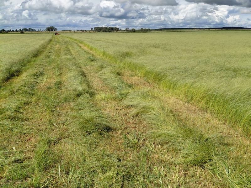 Exceptional 2 House 150 Ha farm for sale. - Photo 1