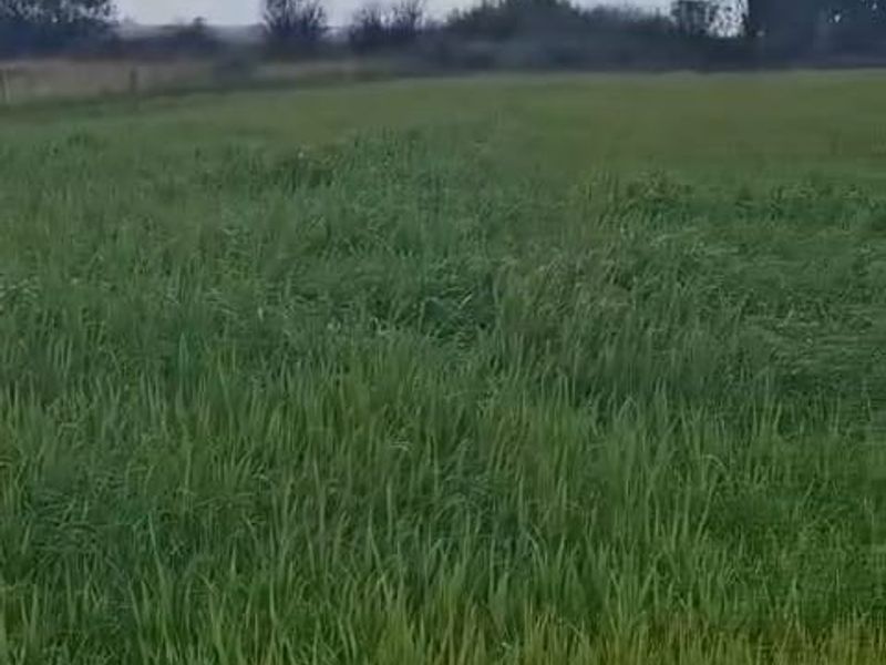 Exceptional 2 House 150 Ha farm for sale. - Photo 5