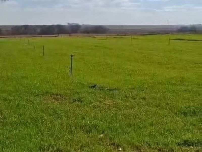 Exceptional 2 House 150 Ha farm for sale. - Photo 6
