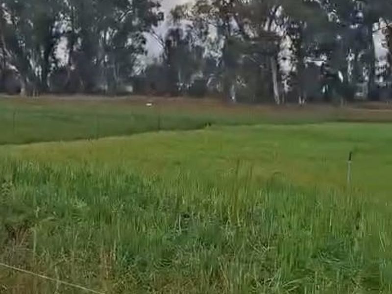 Exceptional 2 House 150 Ha farm for sale. - Photo 2