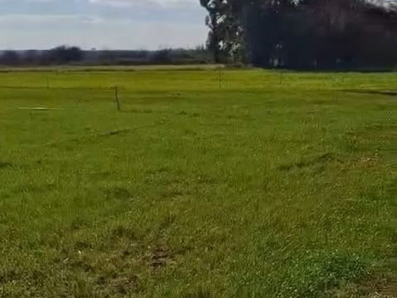 Exceptional 2 House 150 Ha farm for sale. - Photo 4