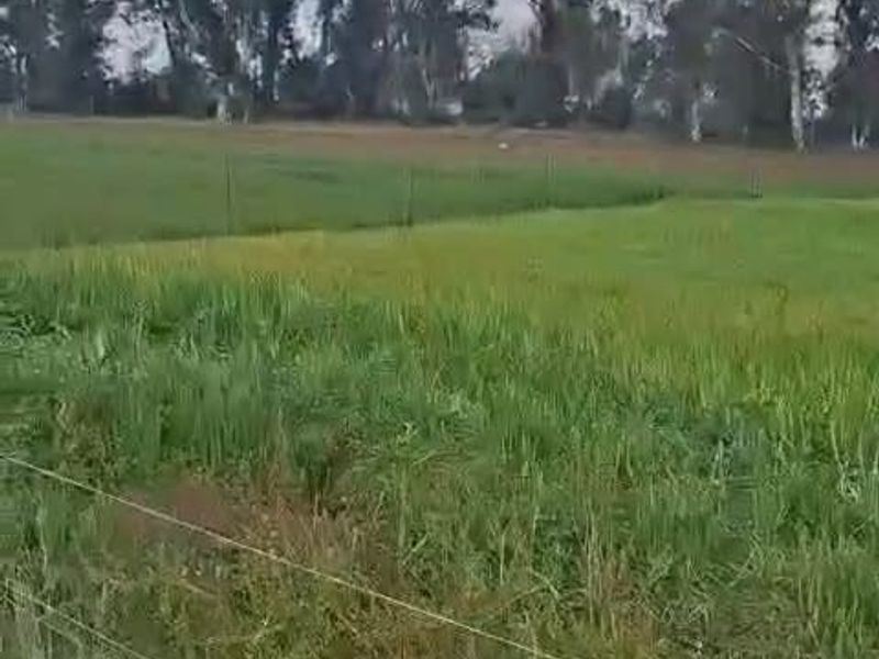 Exceptional 2 House 150 Ha farm for sale. - Photo 3