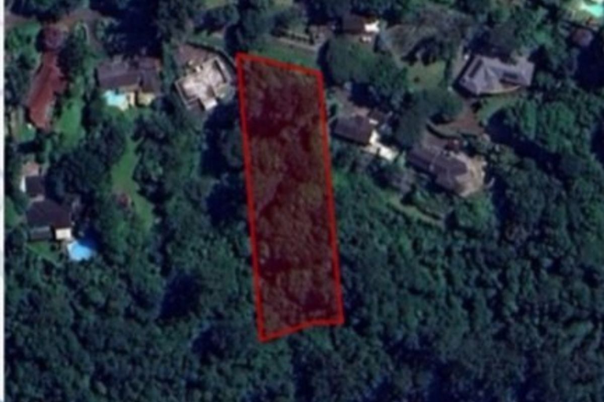 An aerial view of a vacant residential plot surrounded by established trees and neighboring properties.