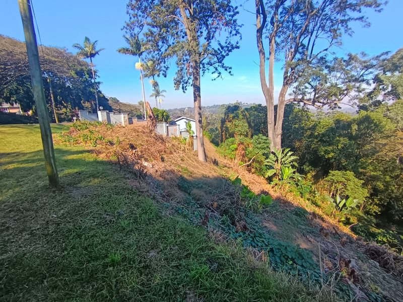 Rare 3,493 m2 Vacant Stand in the Heart of Cowies Hill - Photo 5