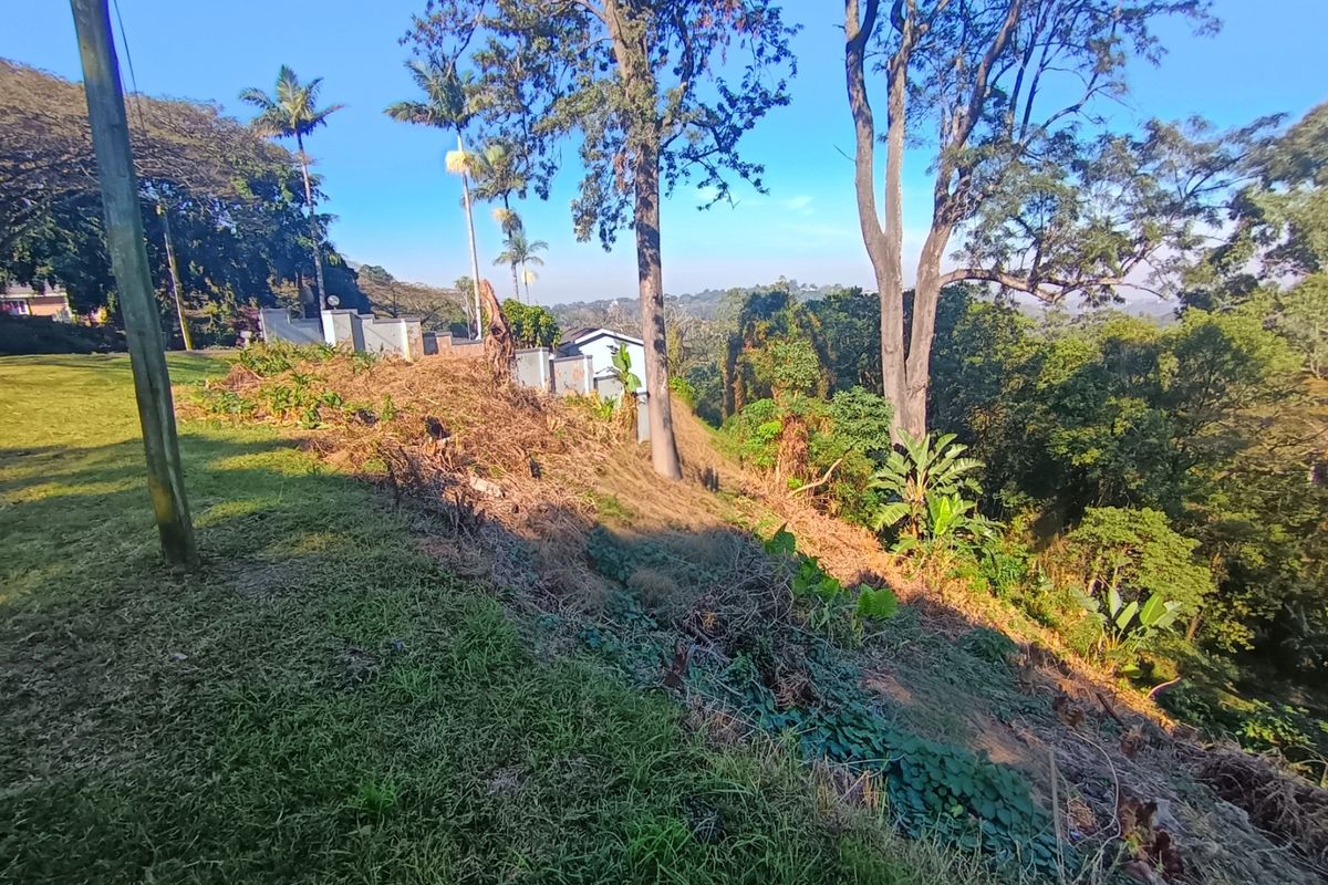 A sloped residential plot featuring mature trees and natural vegetation, offering a view of the surrounding landscape.