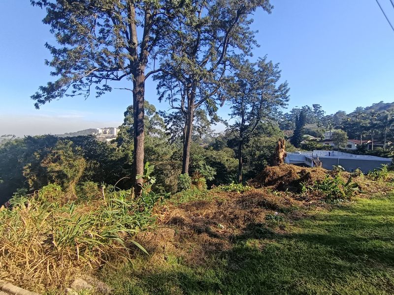 Rare 3,493 m2 Vacant Stand in the Heart of Cowies Hill - Photo 4