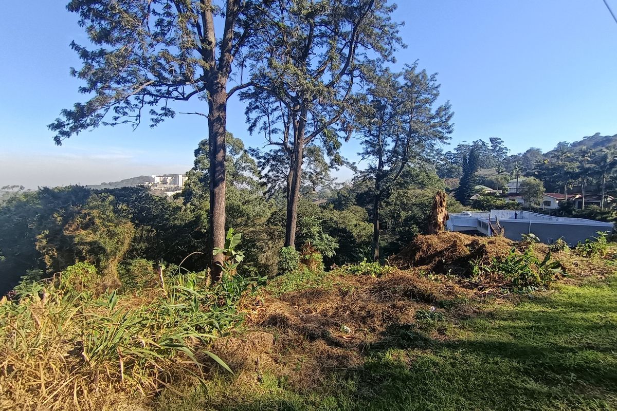 A scenic view overlooking a sloped, vegetated landscape with mature trees and distant residential structures.