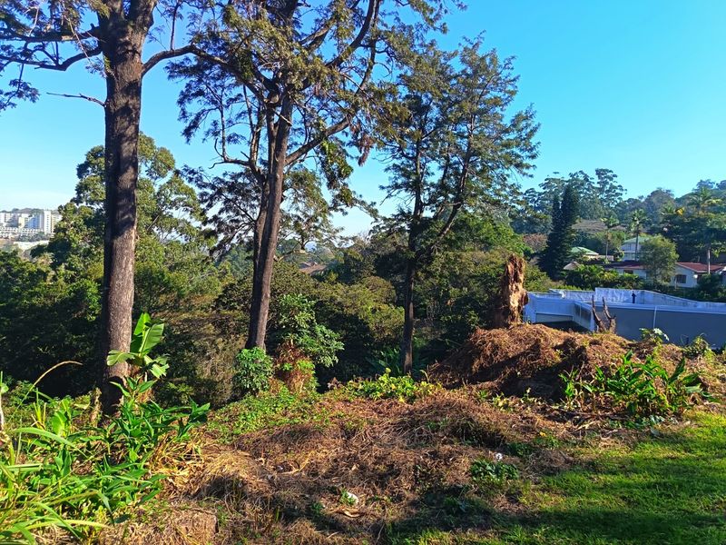 Rare 3,493 m2 Vacant Stand in the Heart of Cowies Hill - Photo 10