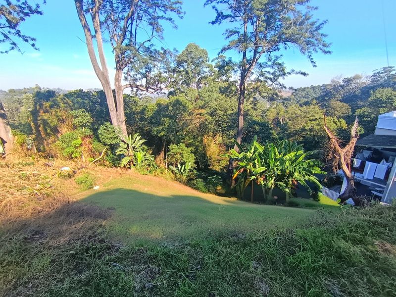 Rare 3,493 m2 Vacant Stand in the Heart of Cowies Hill - Photo 9