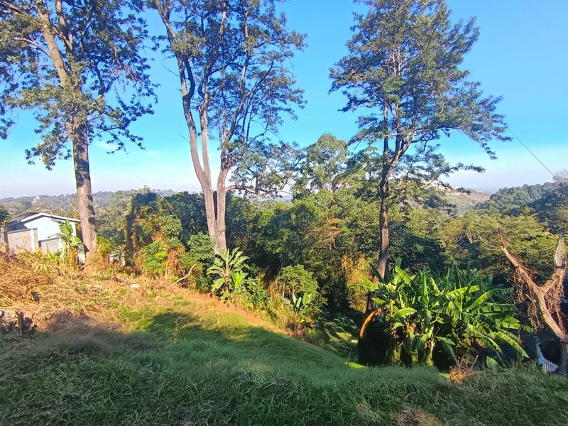 Rare 3,493 m2 Vacant Stand in the Heart of Cowies Hill - Photo 8