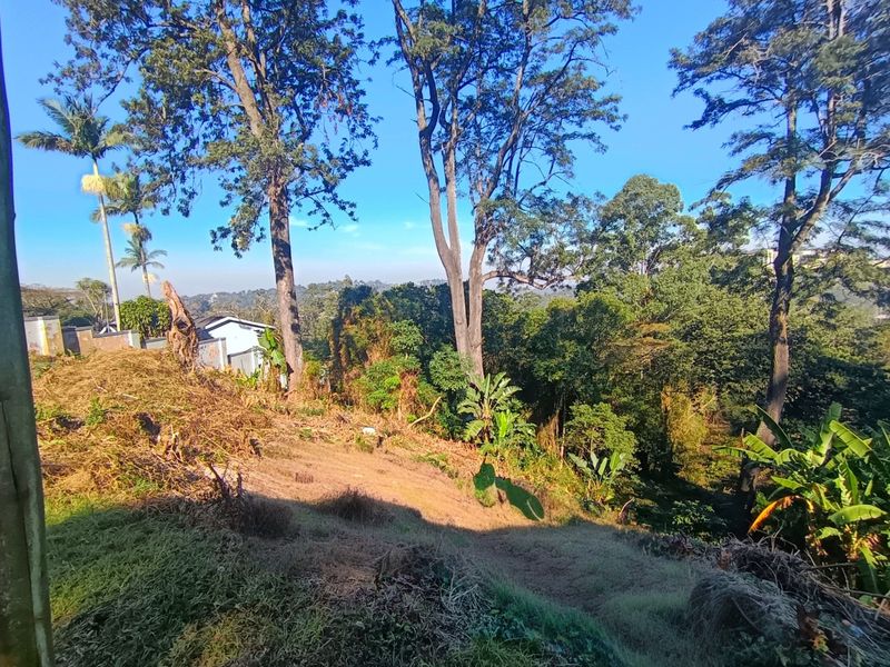 Rare 3,493 m2 Vacant Stand in the Heart of Cowies Hill - Photo 7