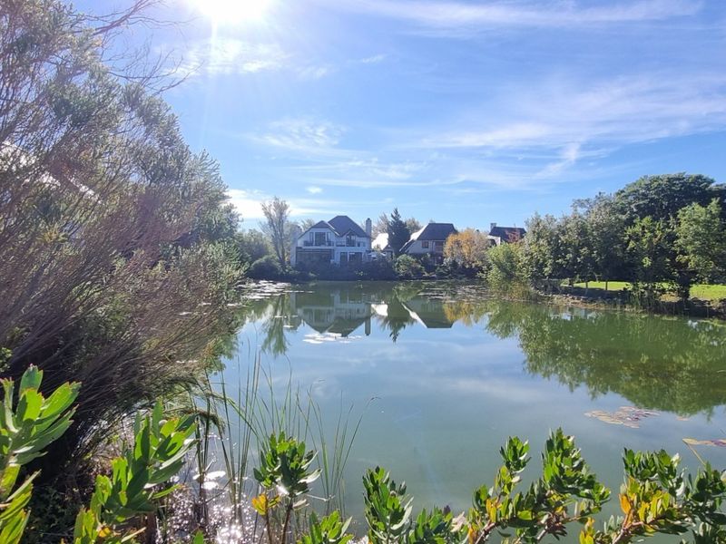 A scenic view overlooking a tranquil lake with surrounding lush greenery and residential properties in the distance.
