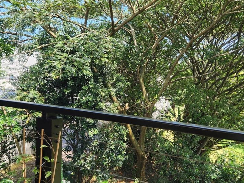 A view from a balcony featuring a modern metal railing and wire balustrade overlooking lush green trees.