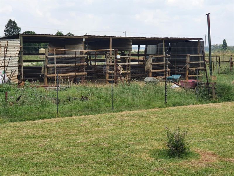 A rustic farm outbuilding or animal shelter featuring a corrugated iron roof and timber post construction, situated within a fenced paddock area.