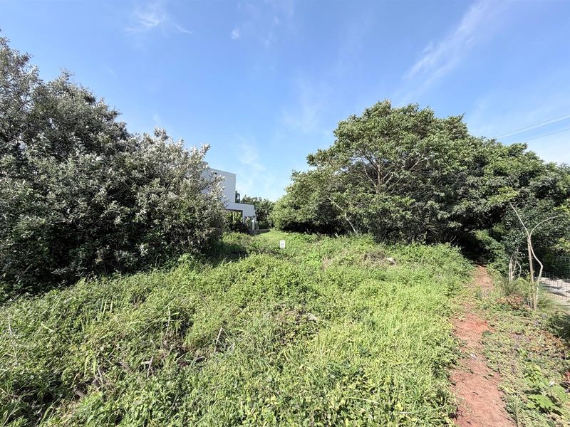 Vacant Land in Elaleni Coastal Forest - Photo 9